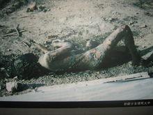 5&middot;6大興安嶺火災