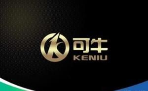 可牛[網際網路公司]