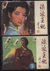 流浪王妃 流浪王妃