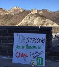 愛心網友所拍攝照片