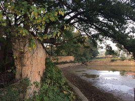 朱石橋村 朱石橋村