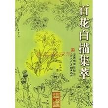 百花白描集萃 百花白描集萃
