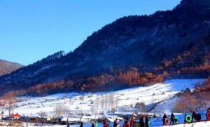 同泉溫泉滑雪場 同泉溫泉滑雪場