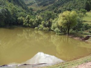 清明澗村 清明澗村