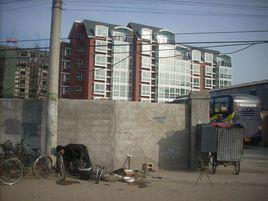 小街村[雲南省玉溪江川縣前衛鎮小街村民委員會]