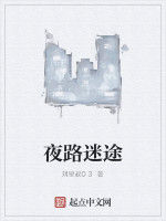 夜路迷途 夜路迷途