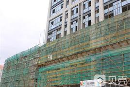 信洲國際 信洲國際