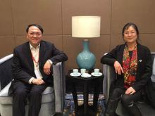 彭萍大師及代表作品