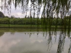 小羅家莊村 小羅家莊村