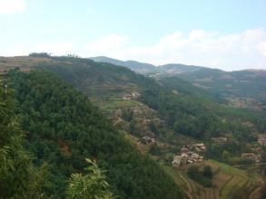 楊彎子自然村 楊彎子自然村