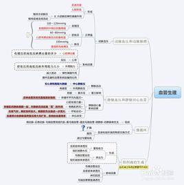 系統生理學 系統生理學