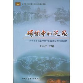硝煙中的沉思：當代世界武裝衝突中的民族宗教問題研究