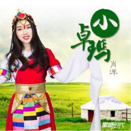 小卓瑪[肖洋演唱的歌曲]