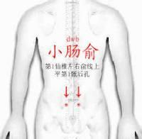 小腸俞 小腸俞