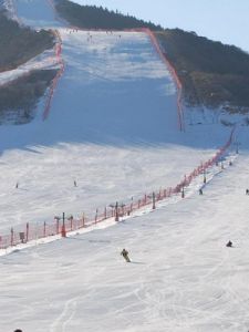 漁陽滑雪場 漁陽滑雪場