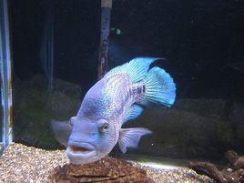 道氏火口 道氏火口