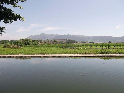 廣東普寧東街道上塘歸湖村