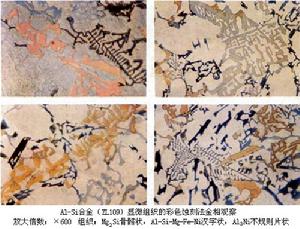 光學金相顯微術