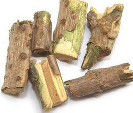 接骨木根[接骨木根]