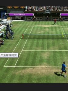 虛擬網球 虛擬網球