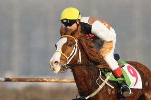 騎士公園 騎士公園