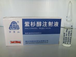紫杉醇注射液 紫杉醇注射液