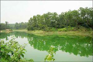 湛江三嶺山 湛江三嶺山