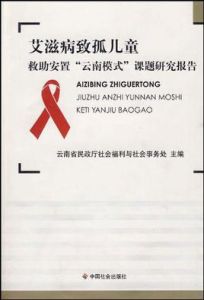 《愛滋病致孤兒童救助安置雲南模式課題研究報告》