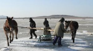 馬拉千米漁網 馬拉千米漁網