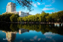 機械四小龍 機械四小龍