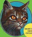 虎掌[《貓武士》中的人物]