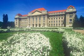 德布勒森大學 德布勒森大學