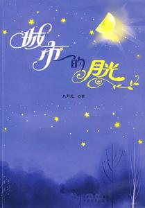 《城市的月光》封面