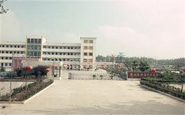 倉集國小 倉集國小