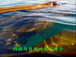 煙臺嘉特生物技術有限公司