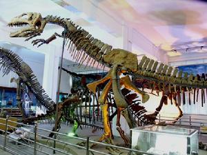 1978年8月21日 1978年8月21日