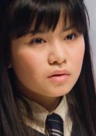 哈利·波特與鳳凰社[英美2007年大衛·葉茨執導電影]