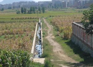小李子園自然村 小李子園自然村