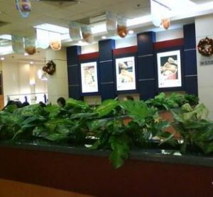 KFC東郊餐廳 KFC東郊餐廳