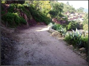 水田新村 水田新村