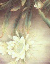 浮生辭·清歌 浮生辭·清歌