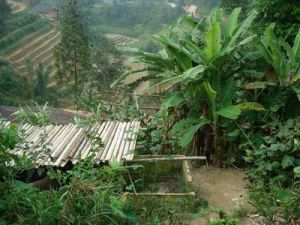 坡腳三自然村 坡腳三自然村