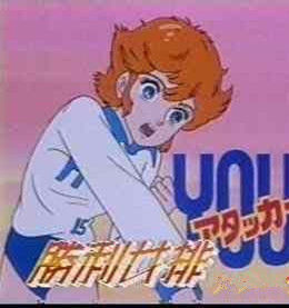 勝利女排 勝利女排