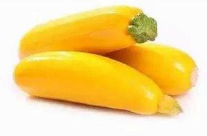 黃皮筍瓜 黃皮筍瓜