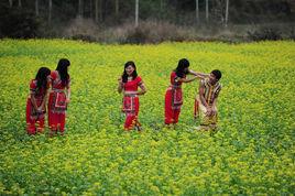 橫河鎮[廣東省博羅縣橫河鎮]