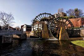 麗江古城維護費