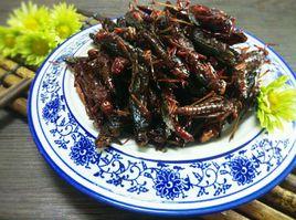 蝗蟲菜譜 蝗蟲菜譜