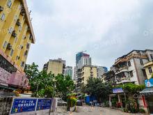 桂園路48號實景圖