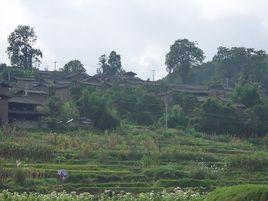 矣子母一組村 矣子母一組村