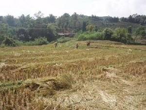 曼點河上寨自然村